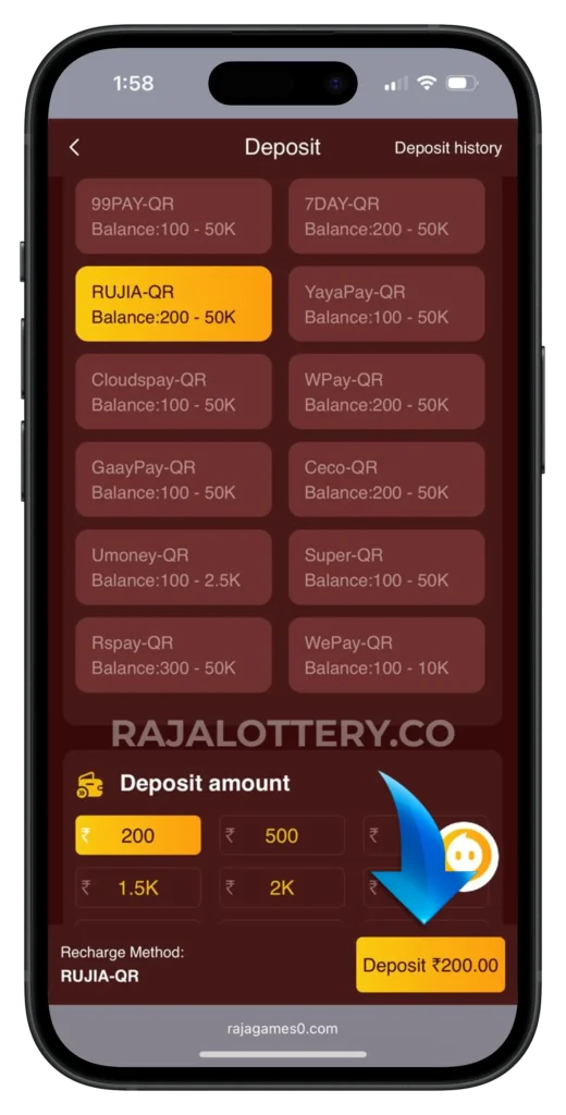 raja-lottery-deposit-page